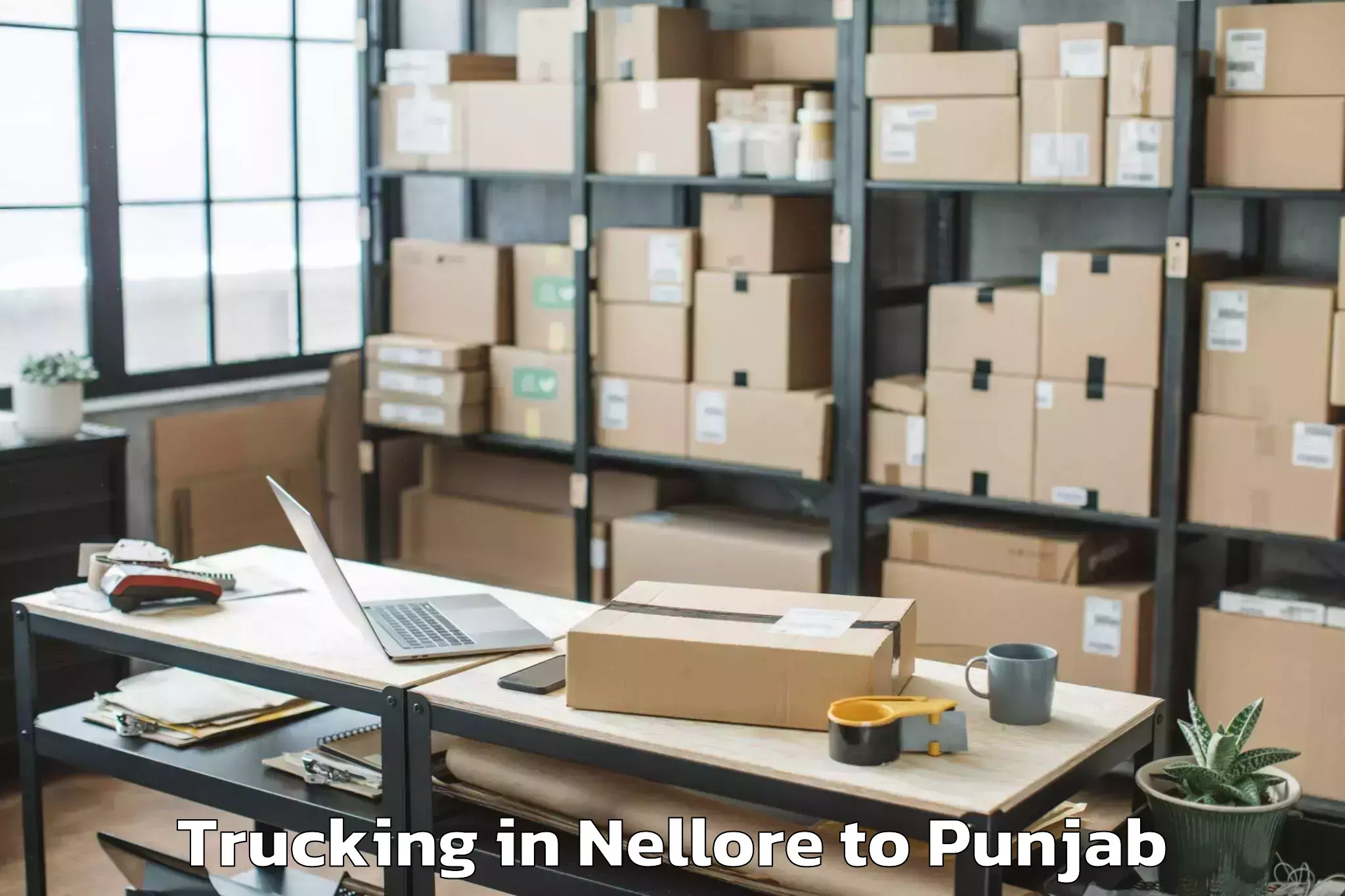 Top Nellore to Chitkara University Punjab Pun Trucking Available